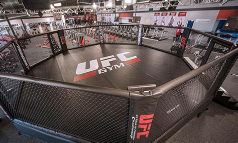 ufc gym membership